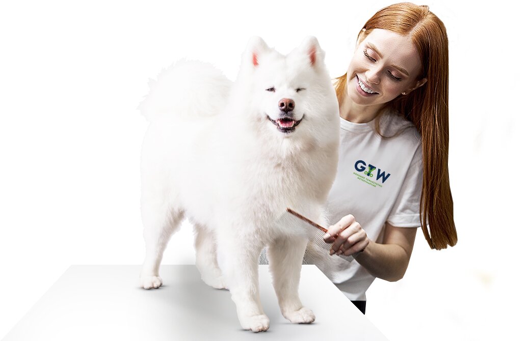 <strong>Groomer</strong> Salon Pielęgnacji Zwierząt